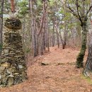 330-3-000024 | 곡성 동악산 형제봉-대장봉-시루봉-도림사 산행기록