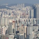 관악세무서 이미지