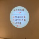 아시아드시티웨딩홀 교통섬 | [W04] 부산웨딩홀투어3 - 다이렉트상담(아시아드시티 웨딩홀 / 마그리트홀,르누아르홀,고흐홀,마리아주...