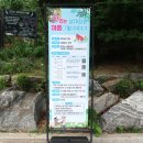 라탄강좌 | 맛있는 생태 정원 위뜰에서 라탄 바구니 만들기