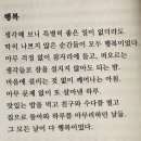 안덕면사무소 앞 | 은퇴후의삶,빛나는서귀포살이/안덕면사무소길/형형색색 수국꽃길