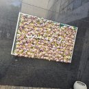 스프링온디자인 이미지