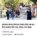 후쿠오카 4만원대 당일투어 유유투어로 알찬 관광 유후인하차 후기