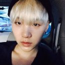 슈가데일리