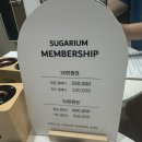 상무태권도 | 광주 화정동 브라질리언 왁싱 후기 자극 적고 깔끔한 슈가리움