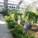 아산 세계 꽃 식물원의 식물들 이미지
