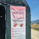 양산농장 | 양산 원동 딸기 따기 체험 농장 딸기당 내돈내산