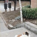 오씨오씨 이미지