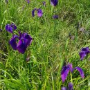 &#39;빗 속의 포옹&#39; 크로아티아 대통령 &#34;역사를 만들었다&#34; 이미지