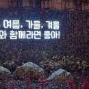 황금족발수원성대점 이미지
