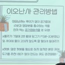 도봉 | [청년센터 도봉] 미니 이오난사 화분 만들기 참여 후기