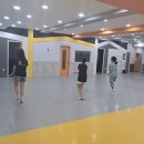 전진 태권도스쿨 이미지
