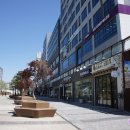 에덴장식 이미지