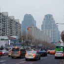 팔도비빔밥 이미지