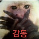 웰빙 점심 이미지