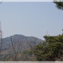 봉화산 솔바람길 이미지
