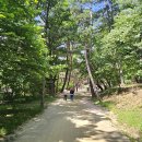 1669 | [조선왕릉] 구리 동구릉, 태조 이성계의 건원릉