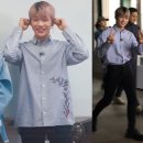 세종 스포츠 스쿨 스포츠서울