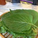 군산포차 | [군산수송동]현지인맛집 군산횟집 선주네포차 모듬한상 솔직후기