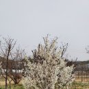 목천농장 이미지