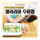 수유동 맛집 샐러리아 수유점 포케 &amp; 샌드위치 넘 맛있어요!