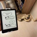 페블루트 | 크레마페블이북리더기 리뷰|슬립화면공유😸🖼️|초기설정하는법