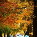 부곡공원길 이미지