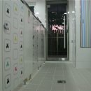 원일유치원 이미지