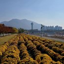 헬스장에서 기구들을 이용하는 순서들을 알아보겠습니다 이미지