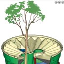 Groasias waterboxx가 사막에서 식물이 자랄 수 있게 도와주는 원리 이미지