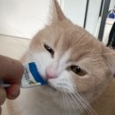 채움휴병원 이미지