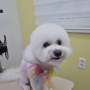 히히 그루밍 이미지