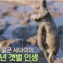 사강시장 이미지