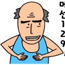 홀리언니 이미지