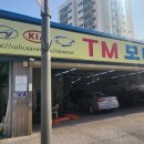 티엠모터스 이미지