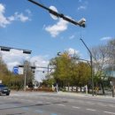 도그마루 노원점 이미지