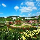 조선대학교 이미지