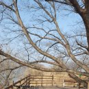 앙덕리 쉼터 이미지