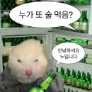 대박한식뷔페 이미지
