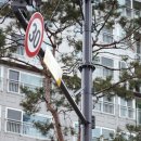 북구청 교통지도과 이미지