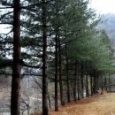 자개골캠핑장 이미지