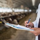 이 가축병원 이미지