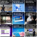 응용 소프트웨어 개발 및 공급업