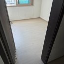 마루모아 | 시흥능곡역모아미래도에듀포레 아파트 강마루 전체교체 | 이건마루 세라 스노우워시 시공 후기