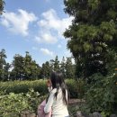 성산읍-2 | 성산읍 갈치조림, &#39;국수인가갈치인가&#39; 뼈없는갈치 무료 귤체험까지