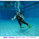 올림픽수영장 Daum카페