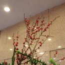 명성화원 이미지