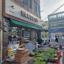 한농종묘농약사 Daum카페
