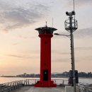 마고닭 | 시장맛집 삼형제횟집 포장 동막골수제강정 죽도명가 마고닭 포장 후기 | 호미곶 유채꽃축제 기간 주차 꿀팁