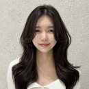 헤어올림픽 이미지